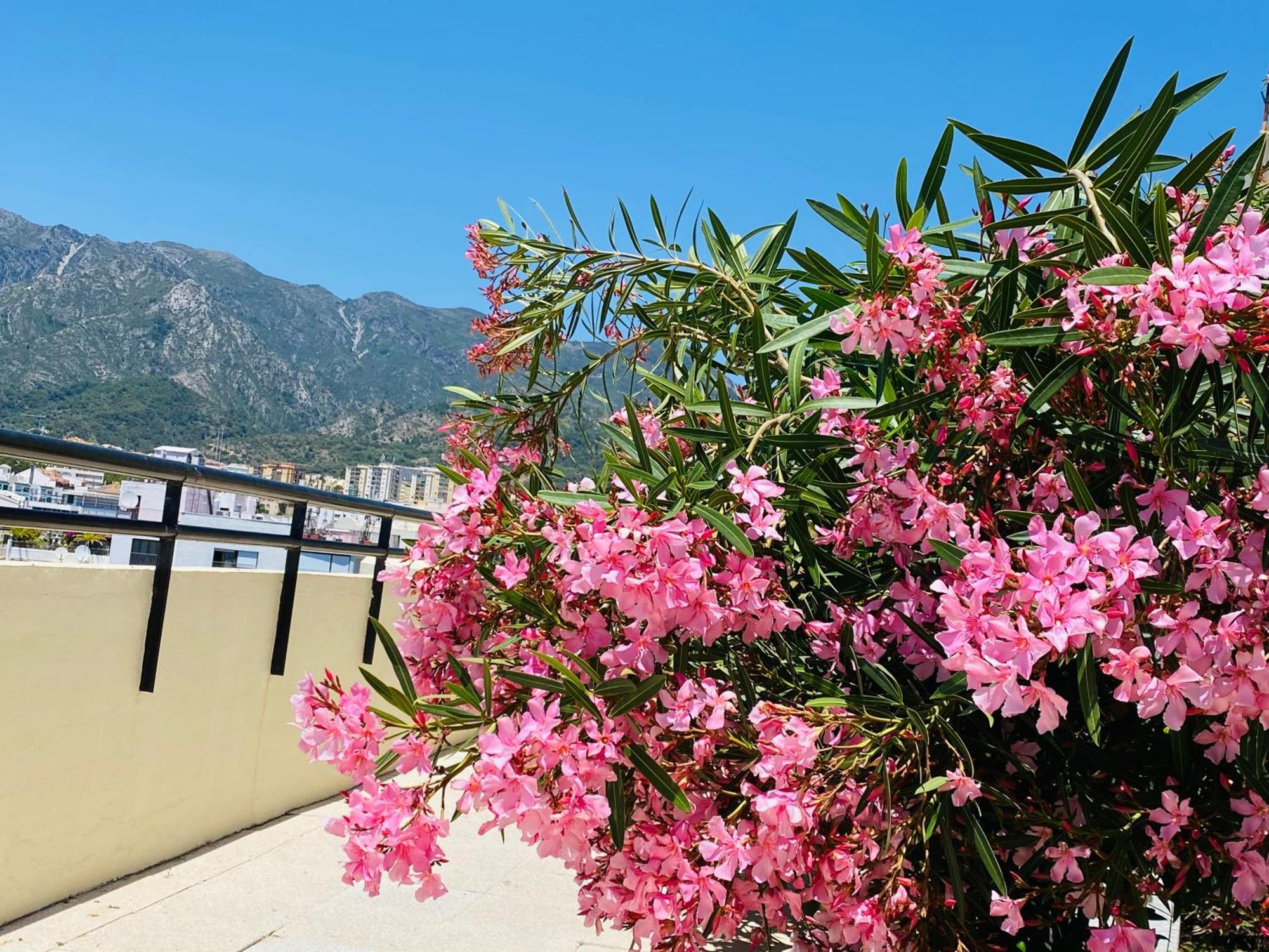 The First Line Of The Sea Apartment Marbella Esterno foto